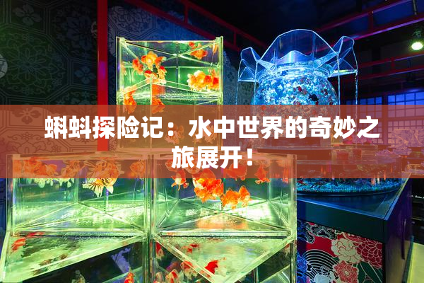 蝌蚪探险记：水中世界的奇妙之旅展开！