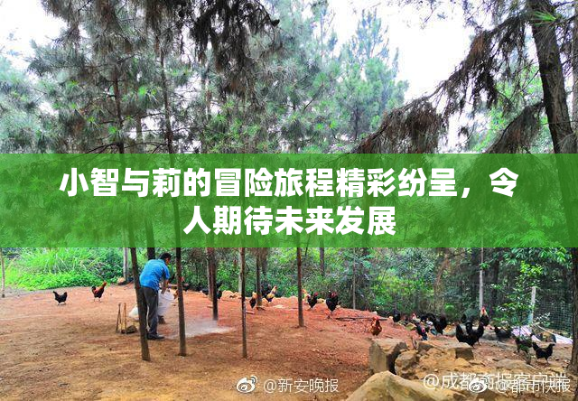 小智与莉的冒险旅程精彩纷呈，令人期待未来发展
