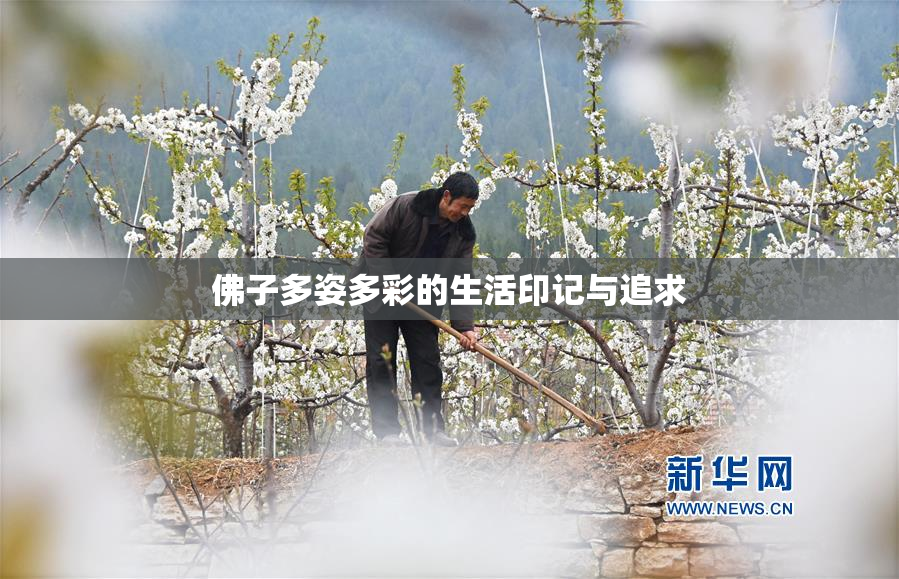 佛子多姿多彩的生活印记与追求