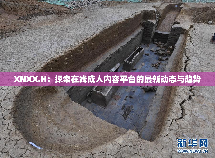 XNXX.H：探索在线成人内容平台的最新动态与趋势