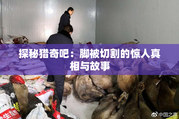 探秘猎奇吧：脚被切割的惊人真相与故事