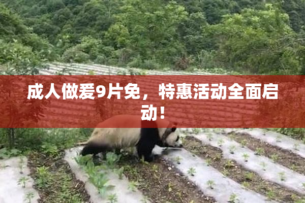 成人做爰9片免，特惠活动全面启动！
