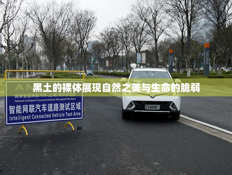 黑土的裸体展现自然之美与生命的脆弱