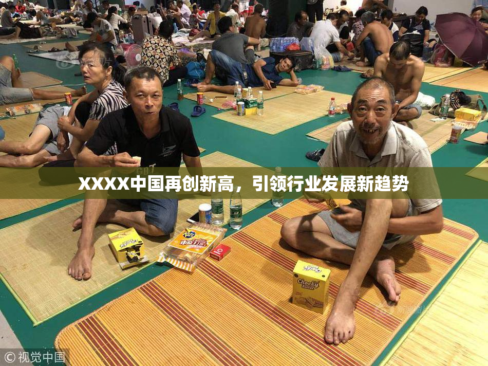 XXXX中国再创新高，引领行业发展新趋势