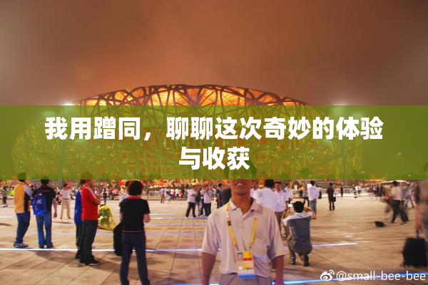 我用蹭同，聊聊这次奇妙的体验与收获