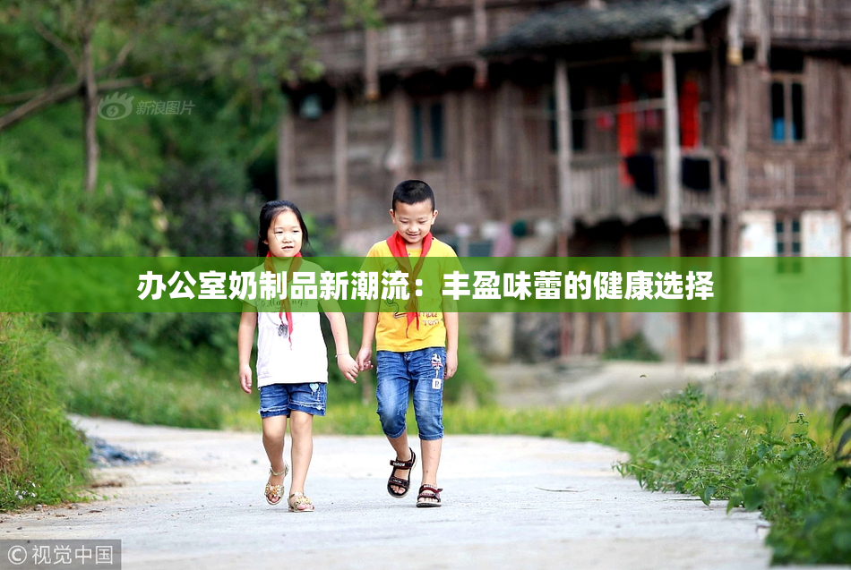 办公室奶制品新潮流：丰盈味蕾的健康选择