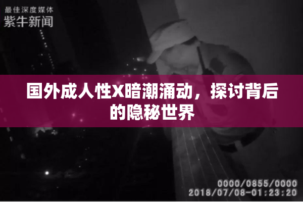 国外成人性X暗潮涌动，探讨背后的隐秘世界