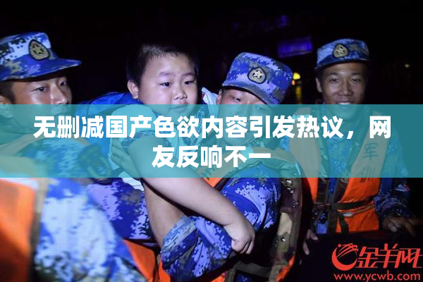 无删减国产色欲内容引发热议，网友反响不一