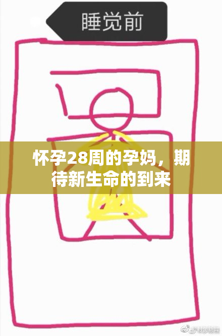 怀孕28周的孕妈，期待新生命的到来