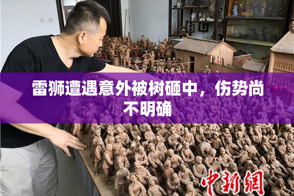 雷狮遭遇意外被树砸中，伤势尚不明确