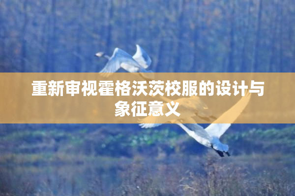 重新审视霍格沃茨校服的设计与象征意义