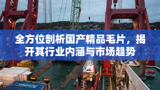 全方位剖析国产精品毛片，揭开其行业内涵与市场趋势