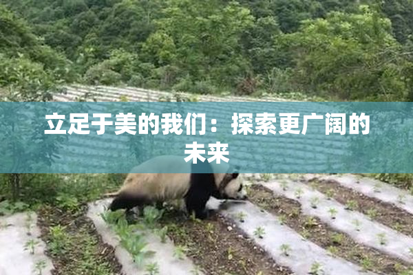 立足于美的我们：探索更广阔的未来