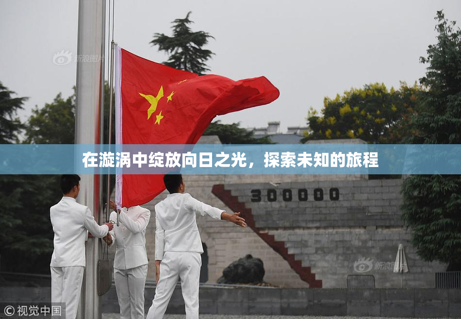 在漩涡中绽放向日之光，探索未知的旅程