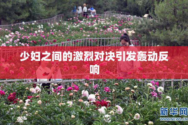 少妇之间的激烈对决引发轰动反响