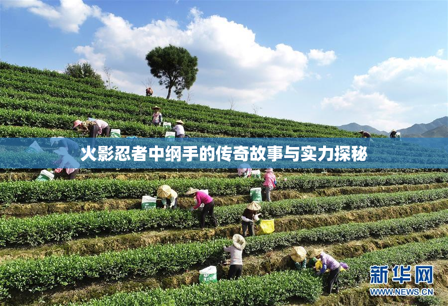 火影忍者中纲手的传奇故事与实力探秘