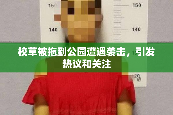 校草被拖到公园遭遇袭击，引发热议和关注