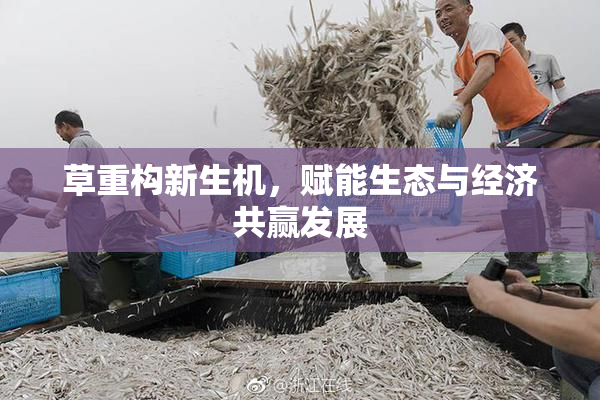 草重构新生机，赋能生态与经济共赢发展