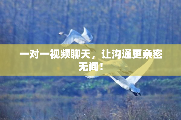 一对一视频聊天，让沟通更亲密无间！