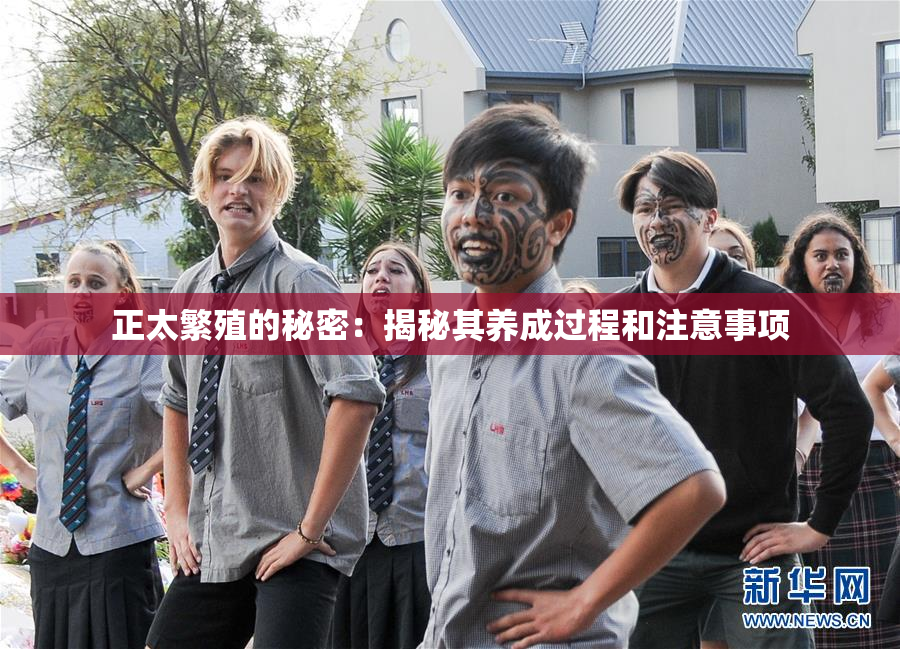 正太繁殖的秘密：揭秘其养成过程和注意事项