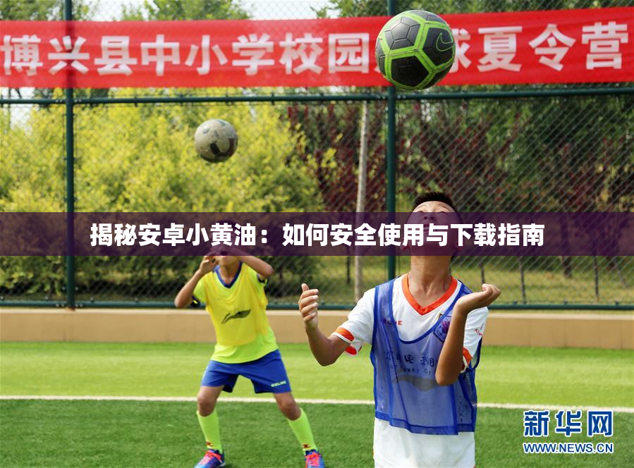 揭秘安卓小黄油：如何安全使用与下载指南