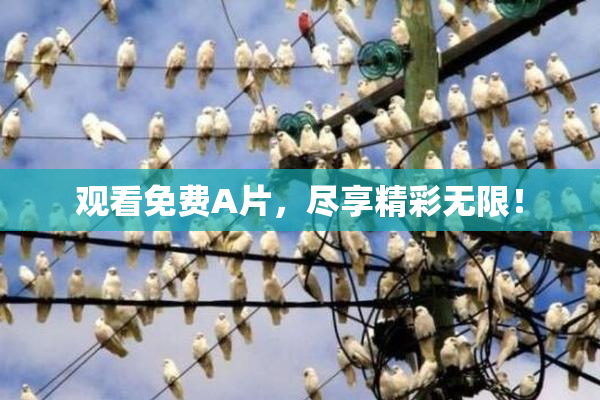 观看免费A片，尽享精彩无限！