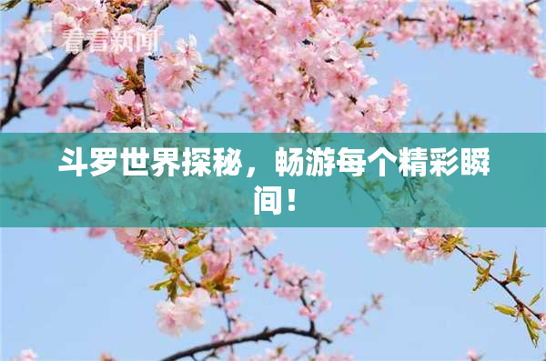 斗罗世界探秘，畅游每个精彩瞬间！