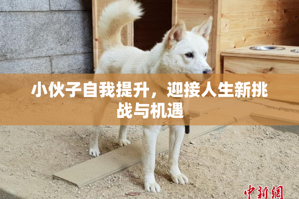 小伙子自我提升，迎接人生新挑战与机遇