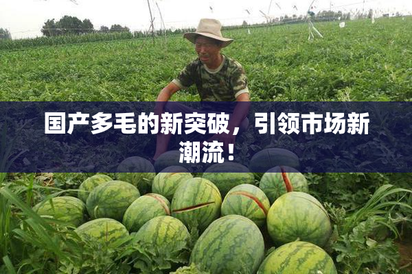 国产多毛的新突破，引领市场新潮流！