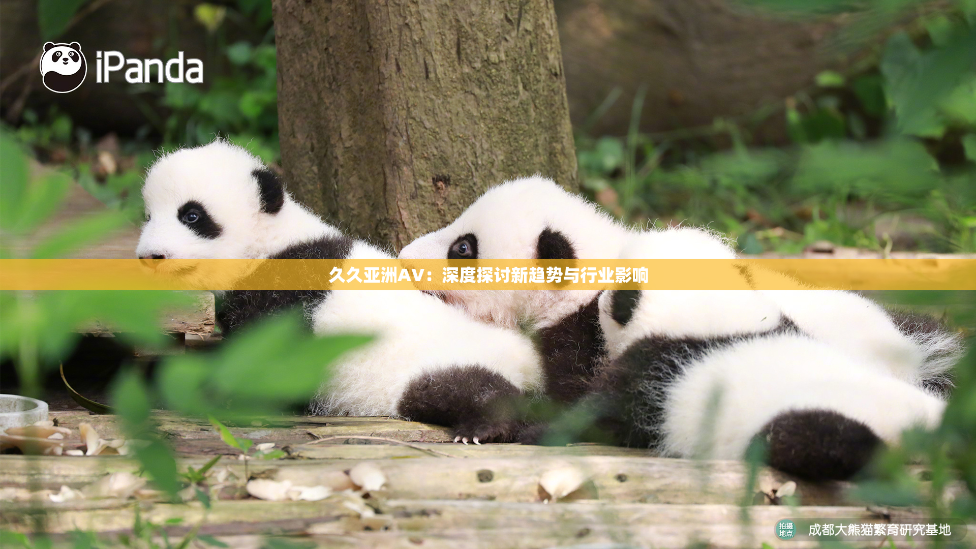 久久亚洲AV：深度探讨新趋势与行业影响