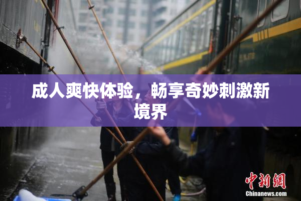 成人爽快体验，畅享奇妙刺激新境界