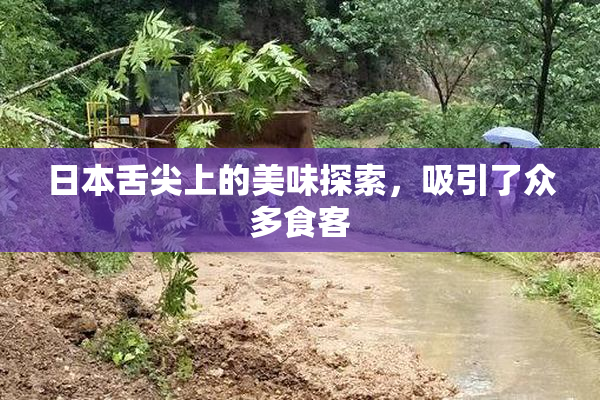 日本舌尖上的美味探索，吸引了众多食客