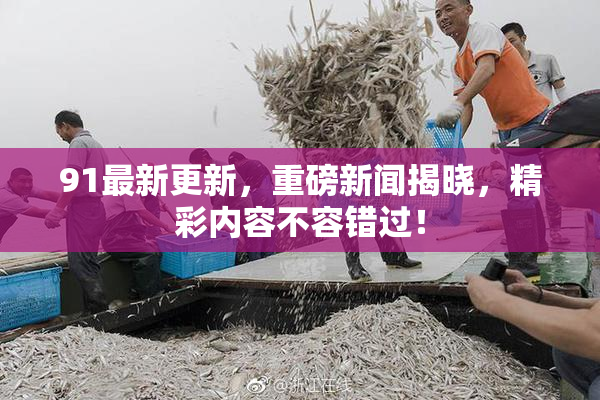 91最新更新，重磅新闻揭晓，精彩内容不容错过！