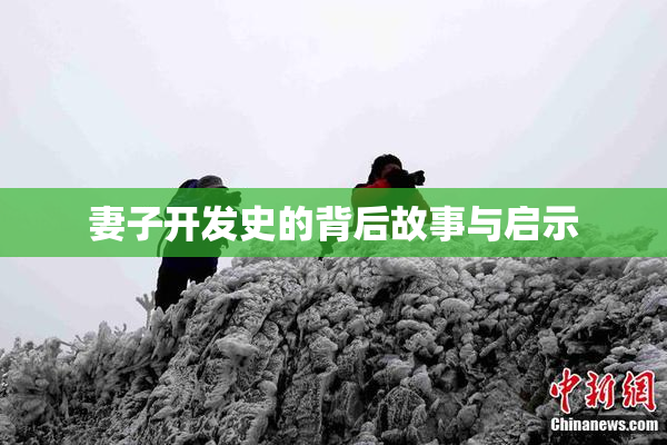 妻子开发史的背后故事与启示
