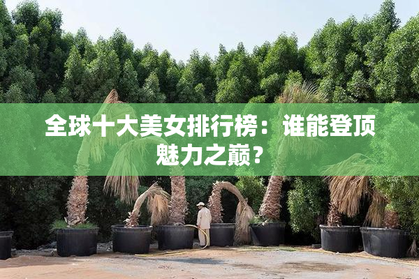 全球十大美女排行榜：谁能登顶魅力之巅？