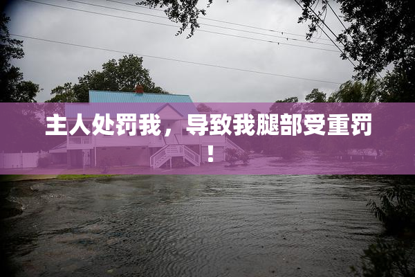 主人处罚我，导致我腿部受重罚！