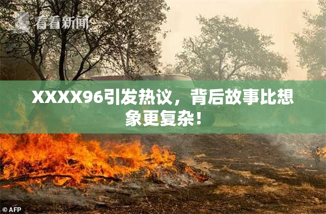 XXXX96引发热议，背后故事比想象更复杂！