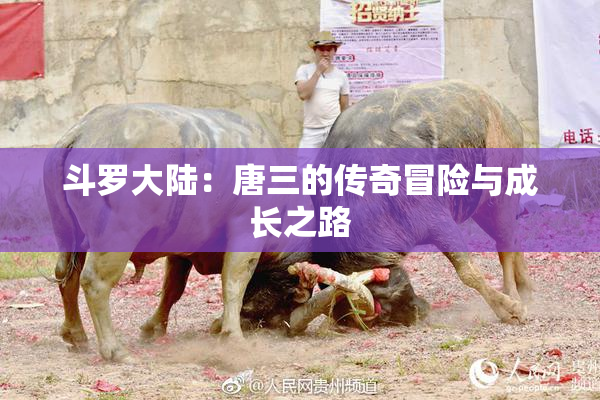 斗罗大陆：唐三的传奇冒险与成长之路