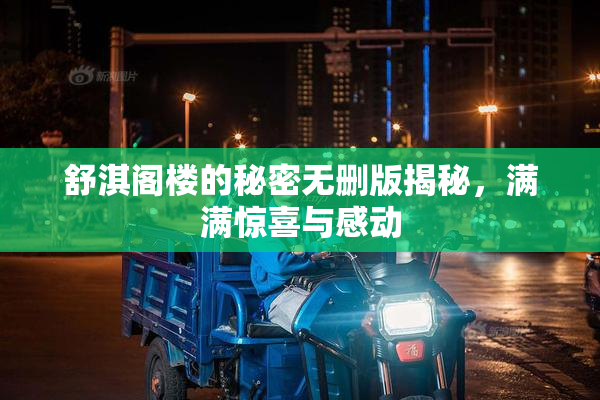 舒淇阁楼的秘密无删版揭秘，满满惊喜与感动