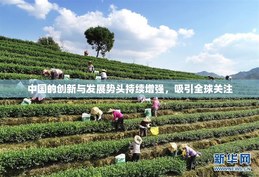 中国的创新与发展势头持续增强，吸引全球关注