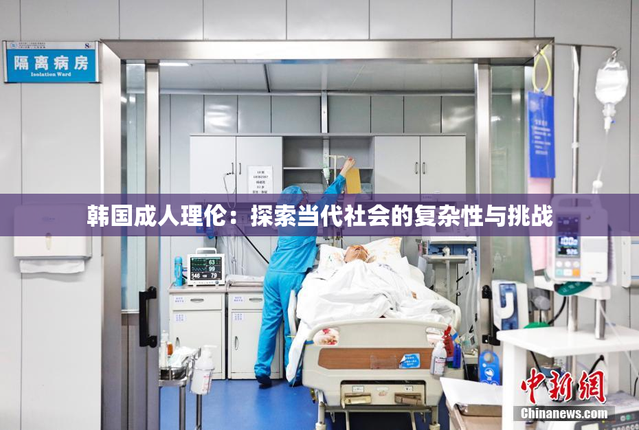 韩国成人理伦：探索当代社会的复杂性与挑战