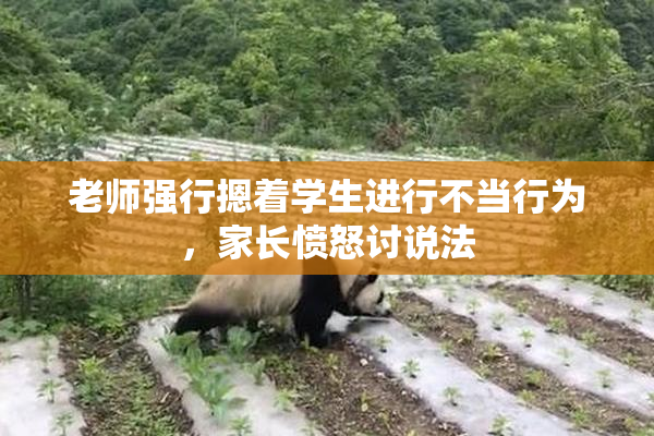 老师强行摁着学生进行不当行为，家长愤怒讨说法