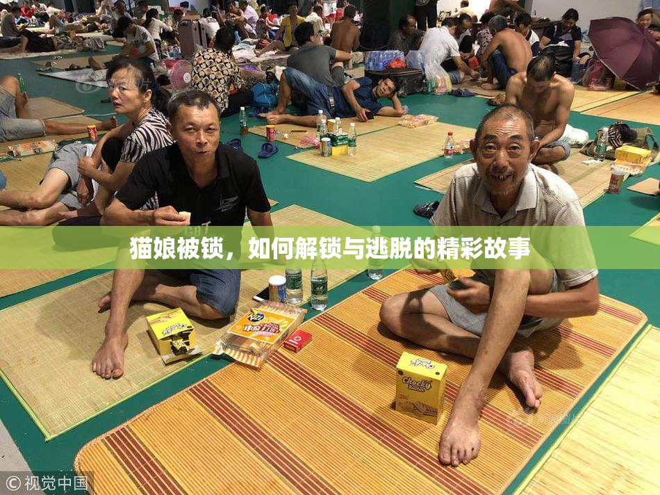 猫娘被锁，如何解锁与逃脱的精彩故事