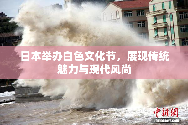 日本举办白色文化节，展现传统魅力与现代风尚