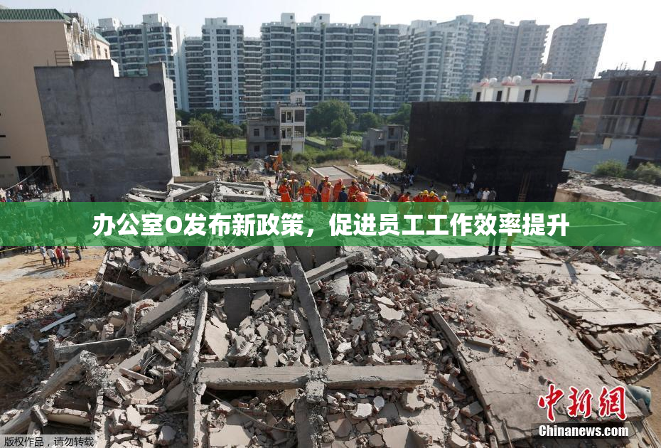 办公室O发布新政策，促进员工工作效率提升