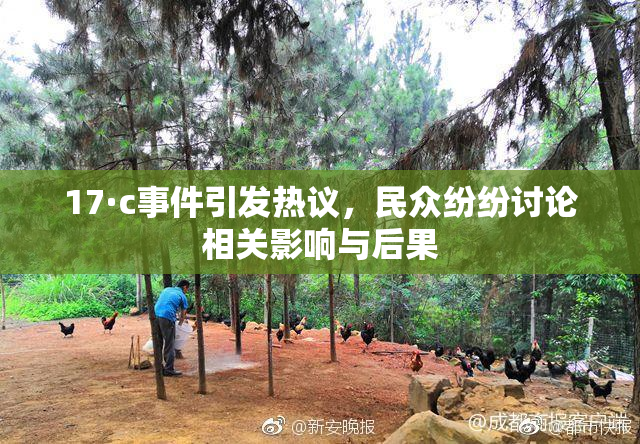 17·c事件引发热议，民众纷纷讨论相关影响与后果