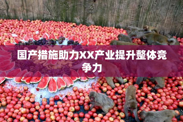 国产措施助力XX产业提升整体竞争力