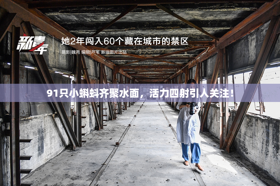 91只小蝌蚪齐聚水面，活力四射引人关注！