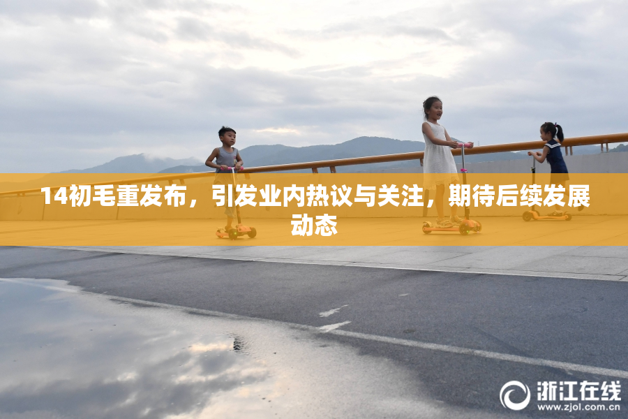 14初毛重发布，引发业内热议与关注，期待后续发展动态