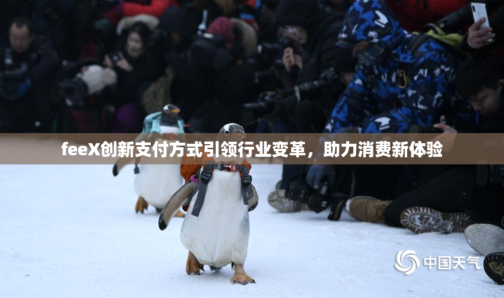 feeX创新支付方式引领行业变革，助力消费新体验